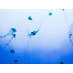 Awesome Wooden Chair fr-FR